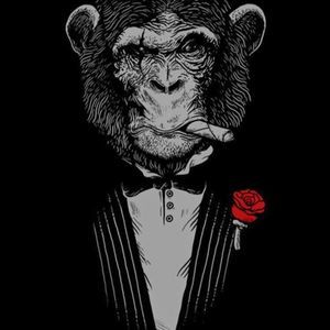 Meet your Posher, Darius